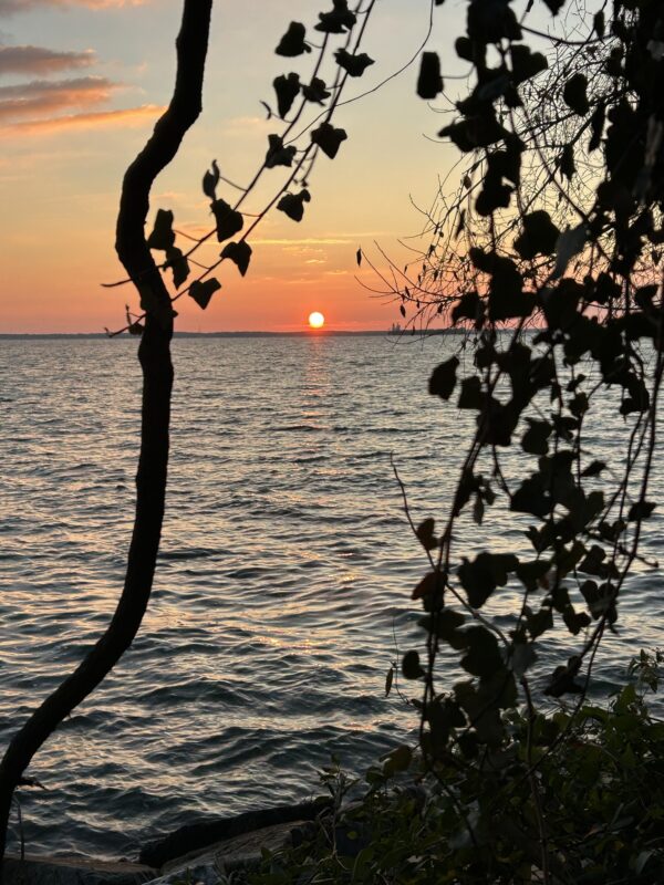 sunrise over the bay.