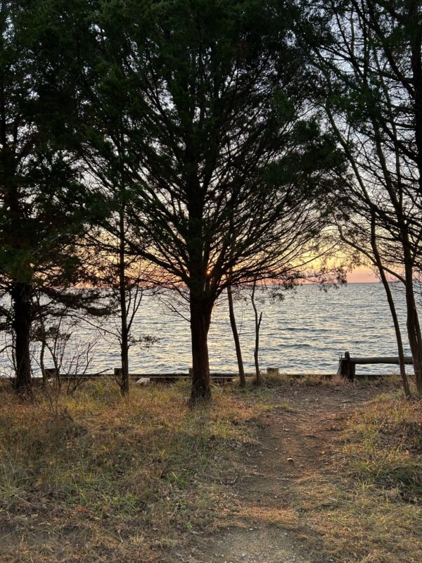 sunrise by the water.