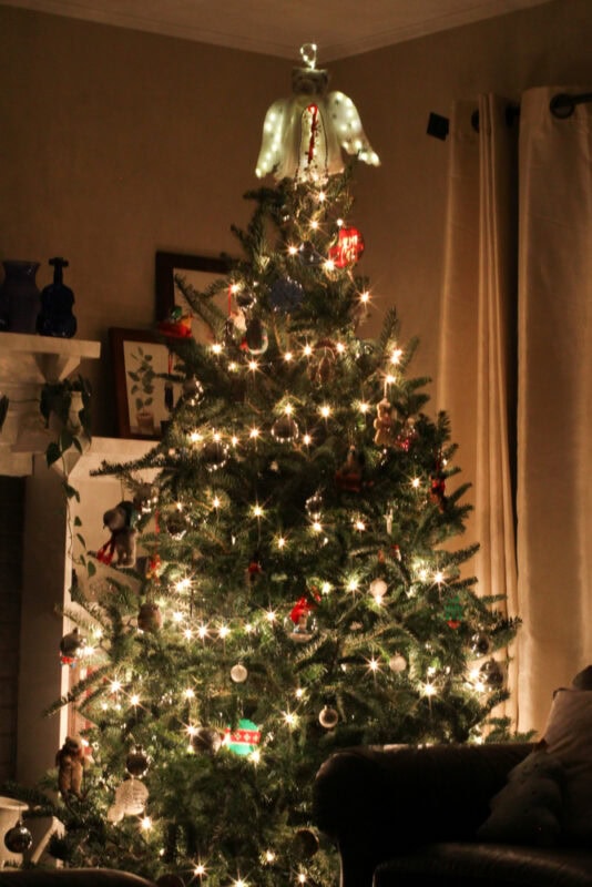 Christmas tree.