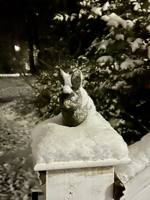 snow on rabbit figurine.