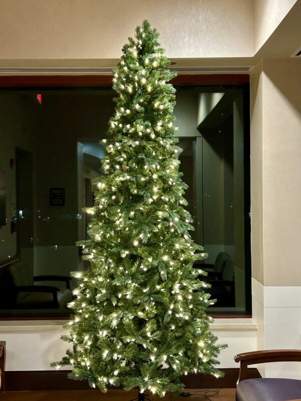 christmas tree at hospital.
