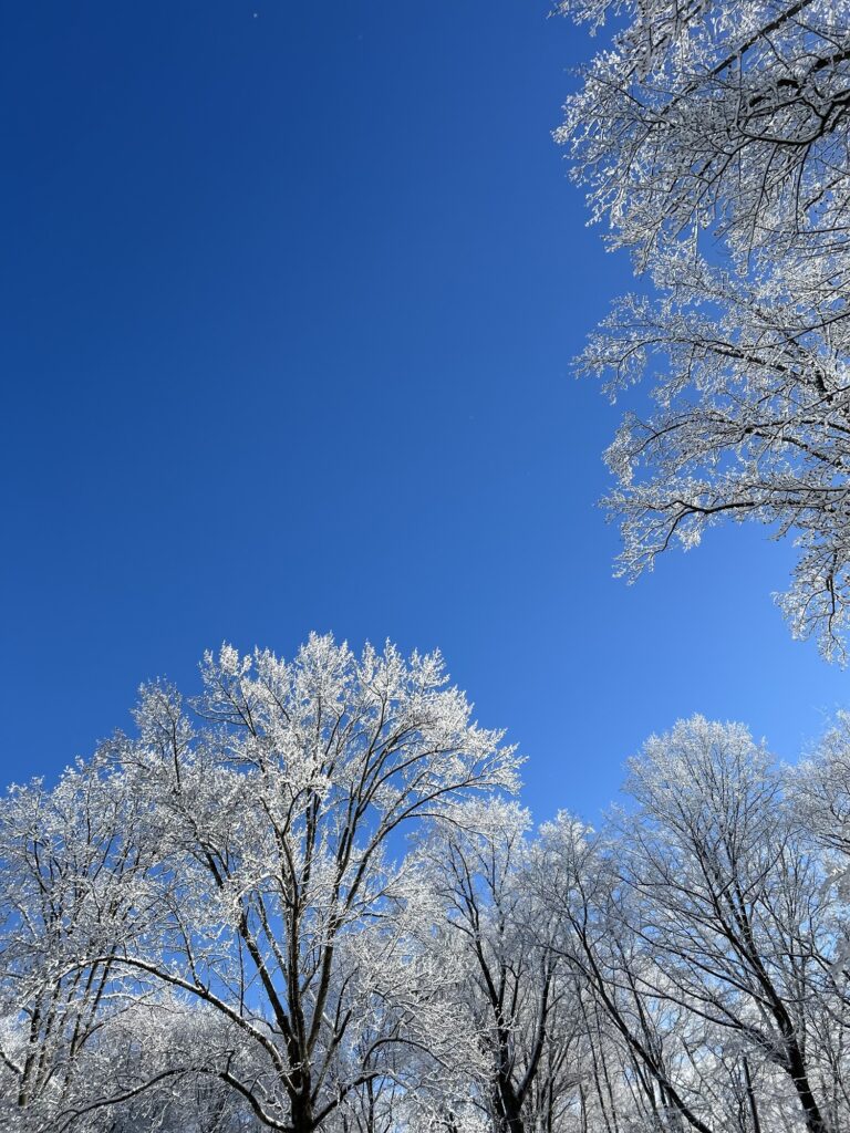 blue sky and snow.