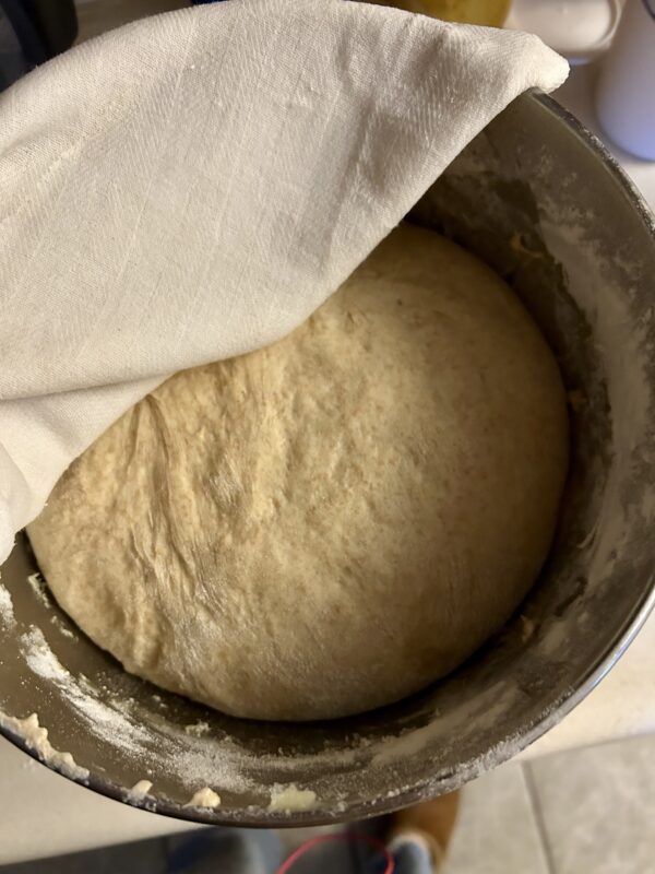 whole wheat roll dough.