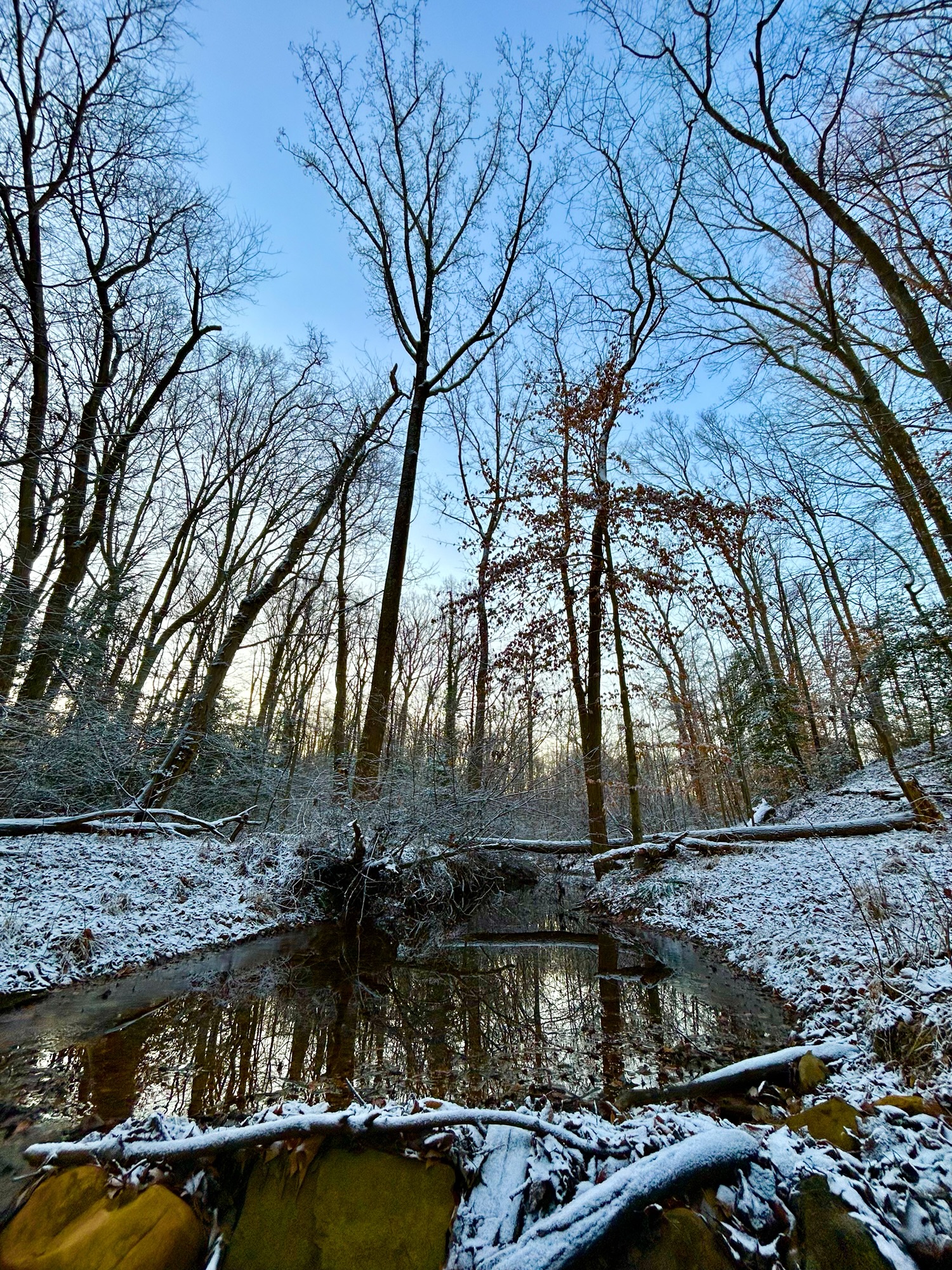 snowy creek.