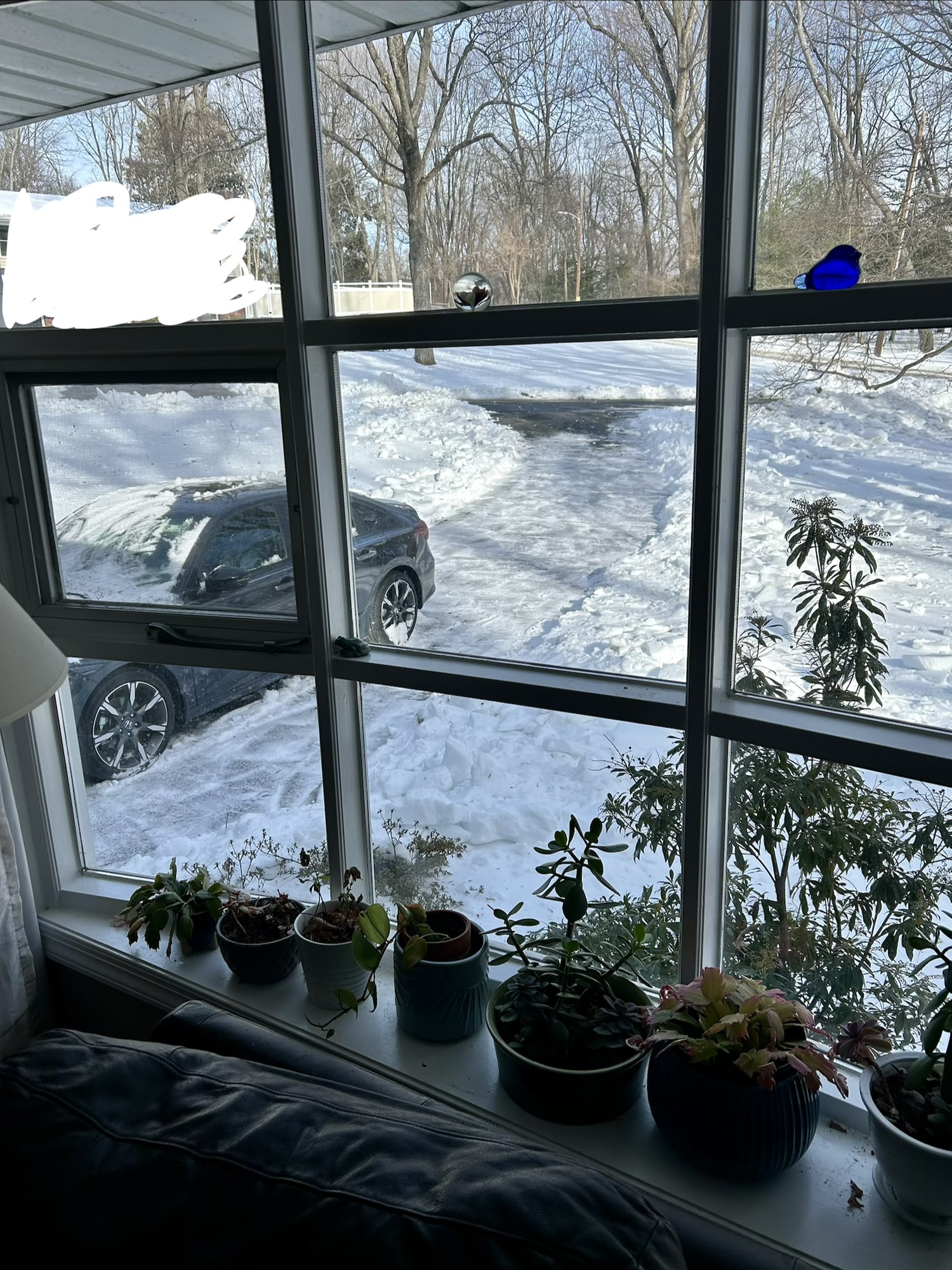 driveway in the snow.