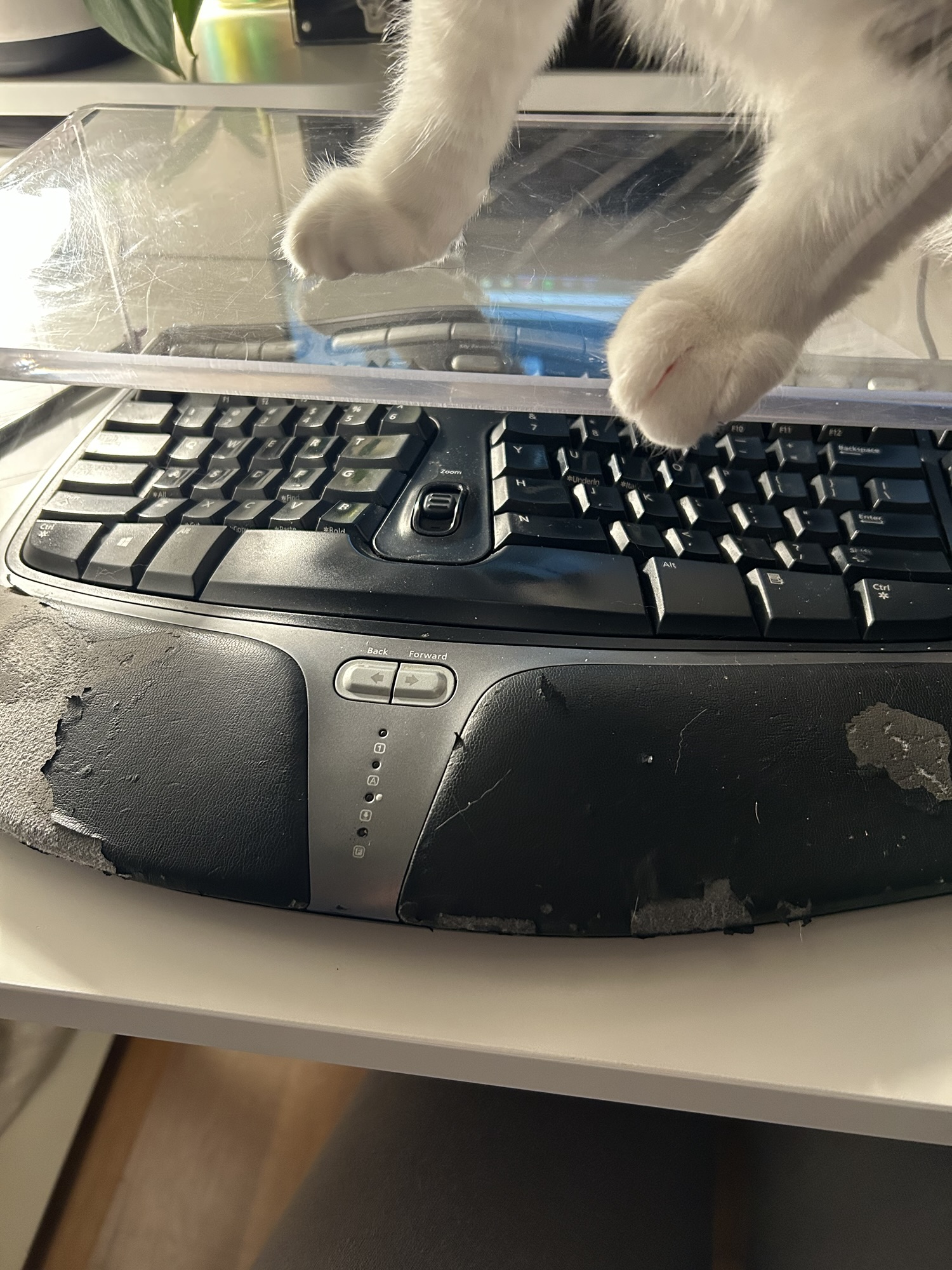 peeling keyboard.