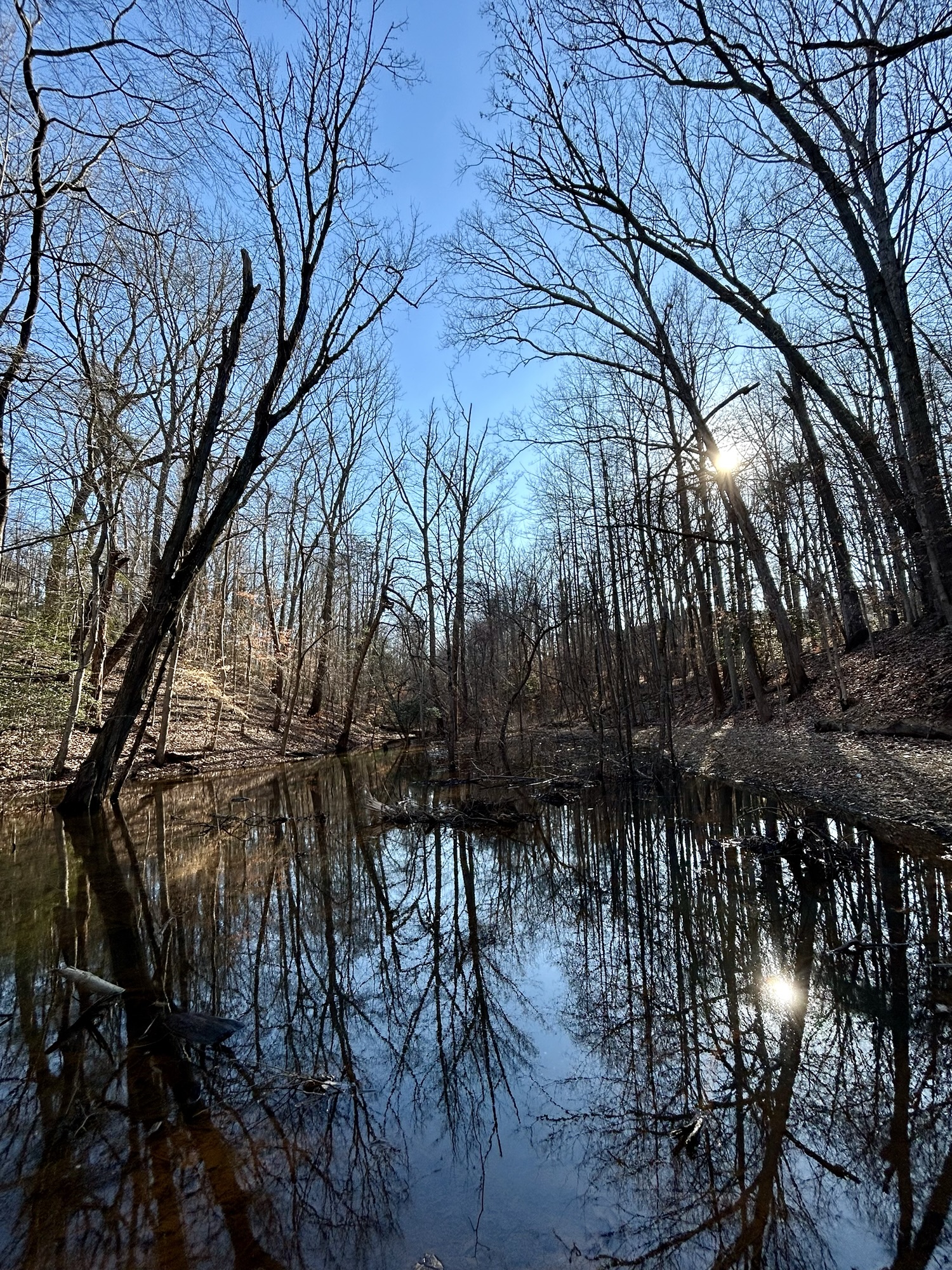 blue sky over a creek.