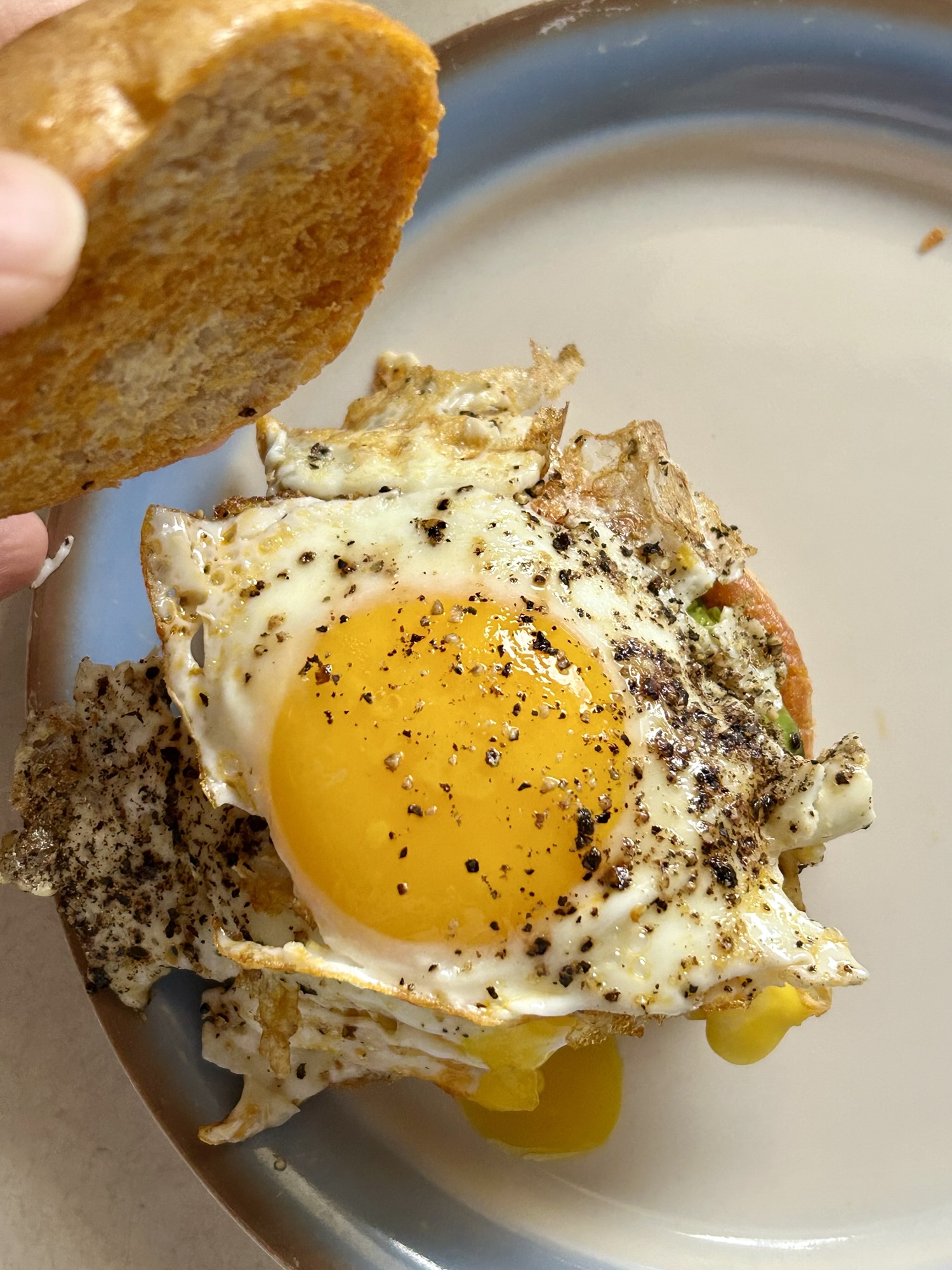 avocado toast sandwich.