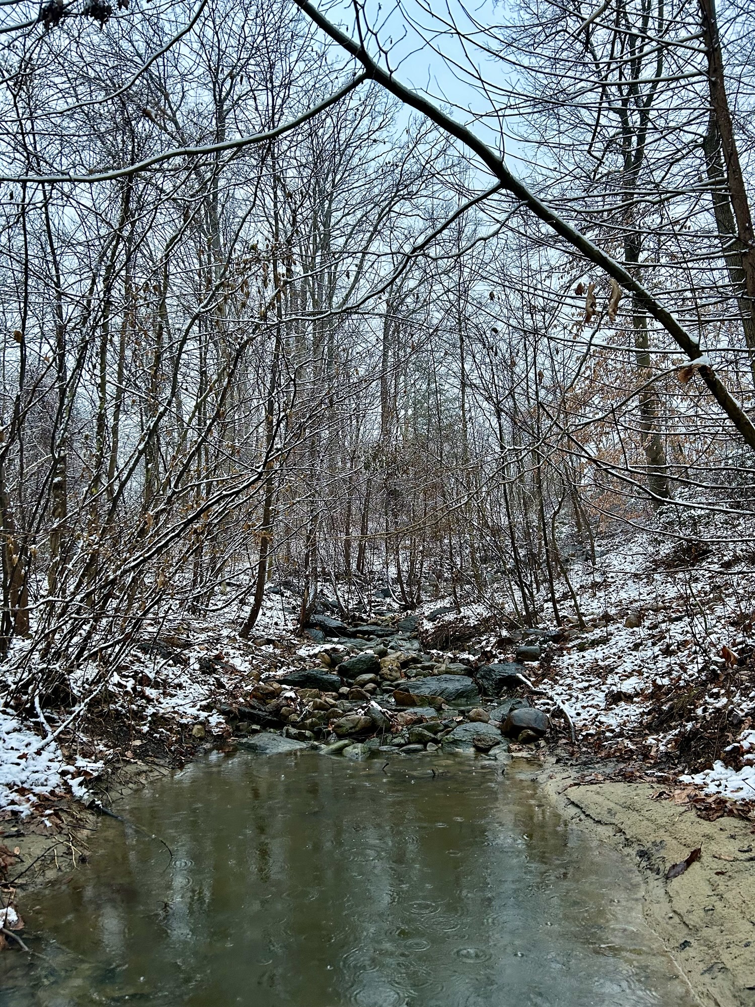 snow by a creek.