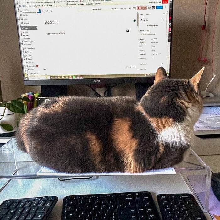 cat on keyboard.
