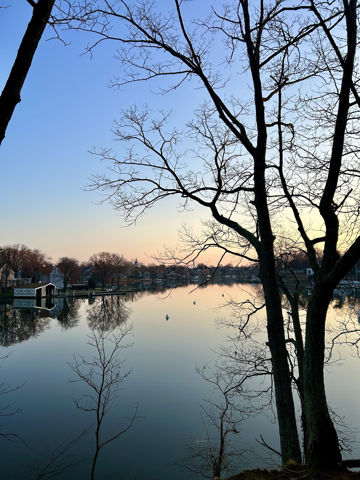 morning view of a creek.