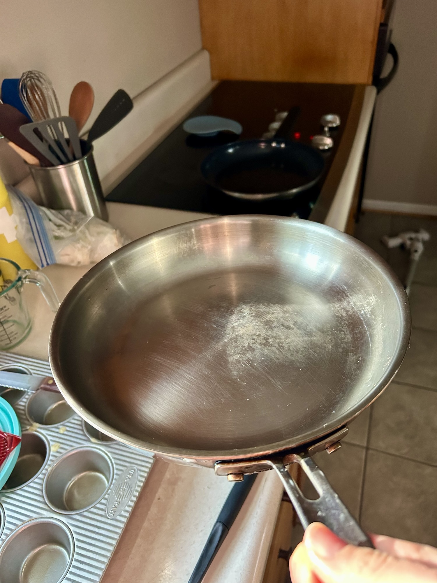 stainless steel skillet.