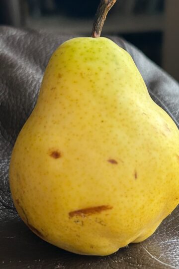 disappointed pear.