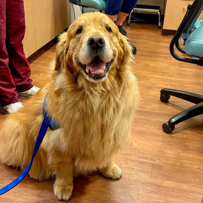 WIS, WWA | meet a VIP