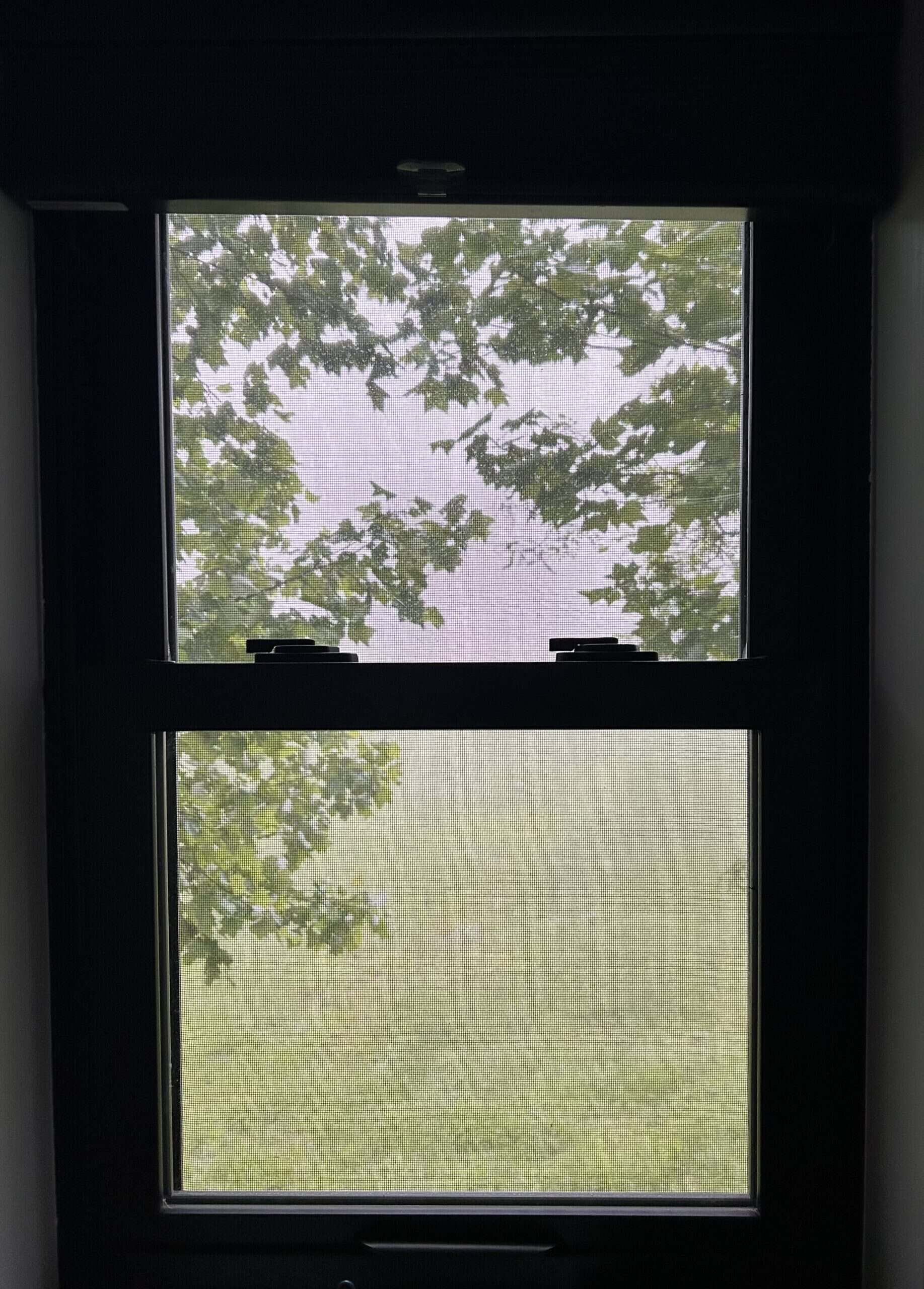 rainy window.