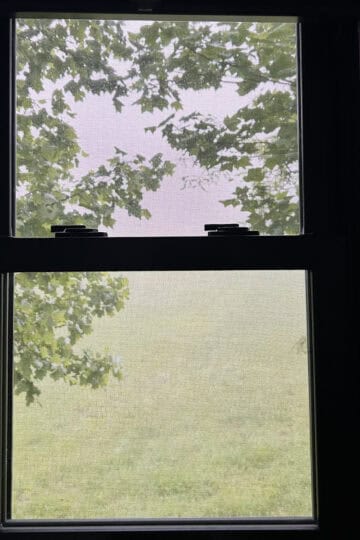 rainy window.