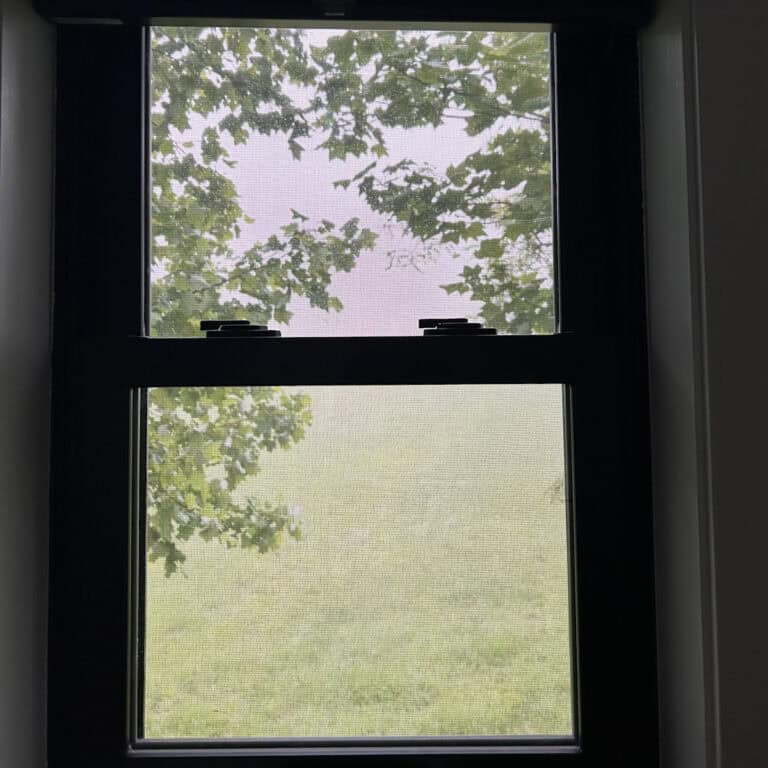 rainy window.