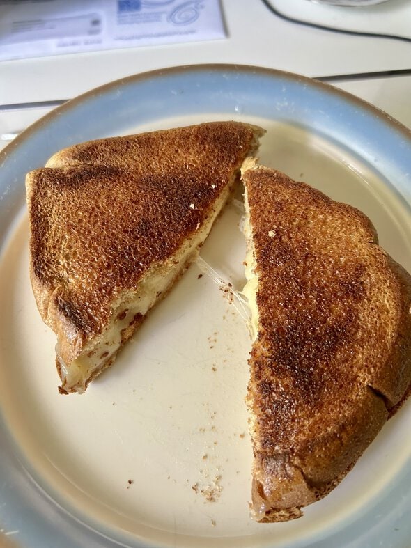 grilled cheese sandwich.
