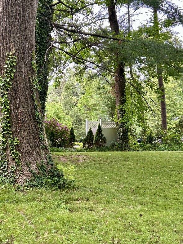 mowed grass.