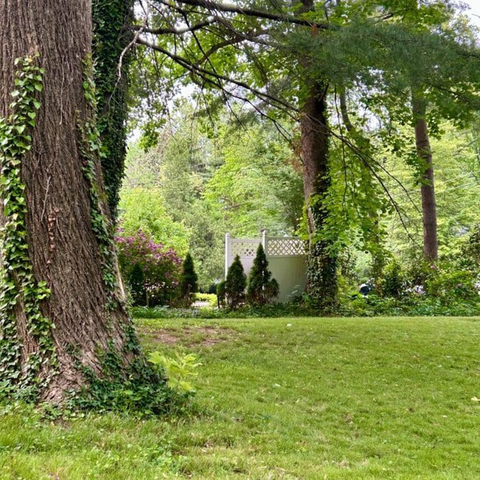mowed grass.