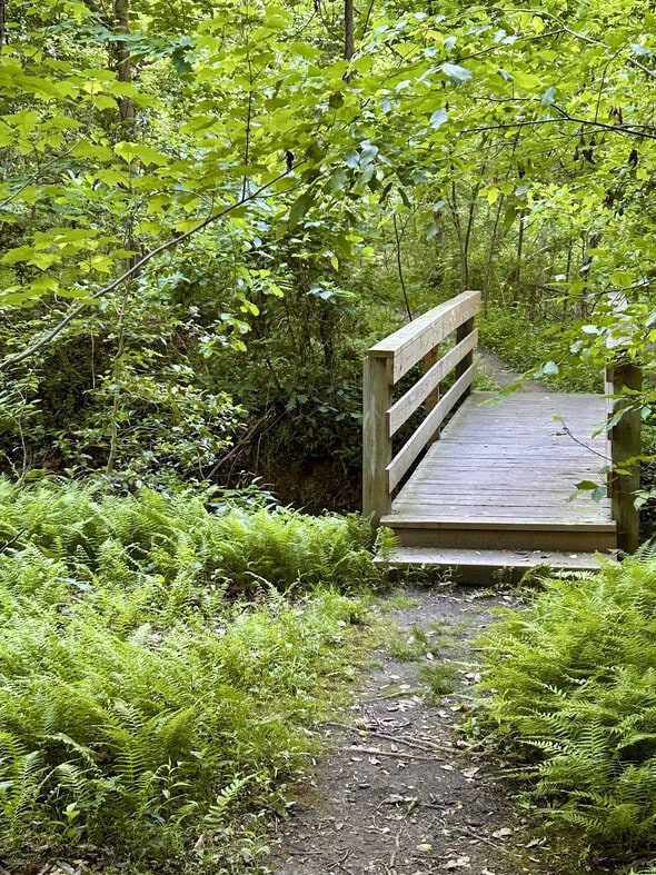 green trail.