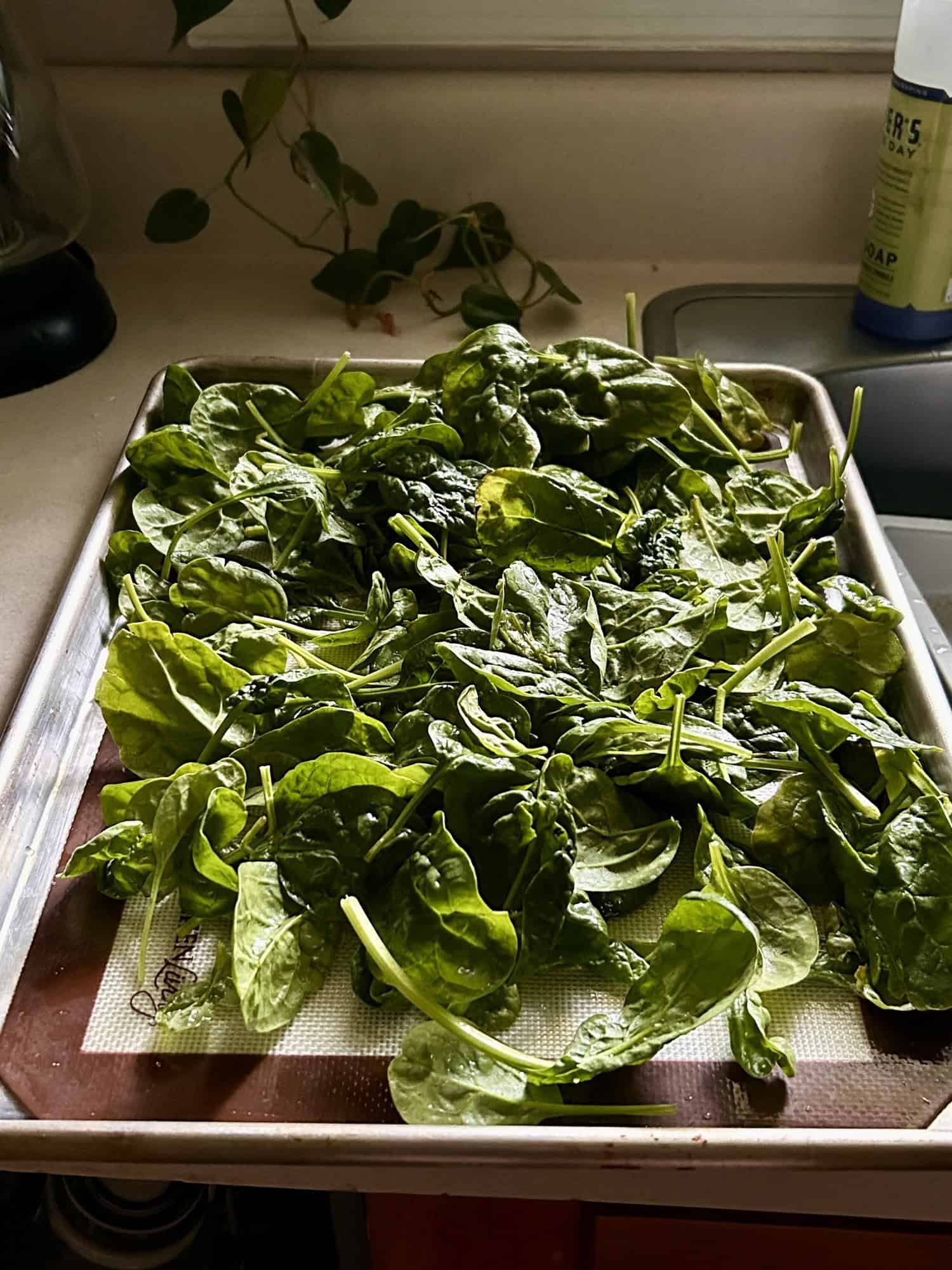 spinach on a baking sheet.
