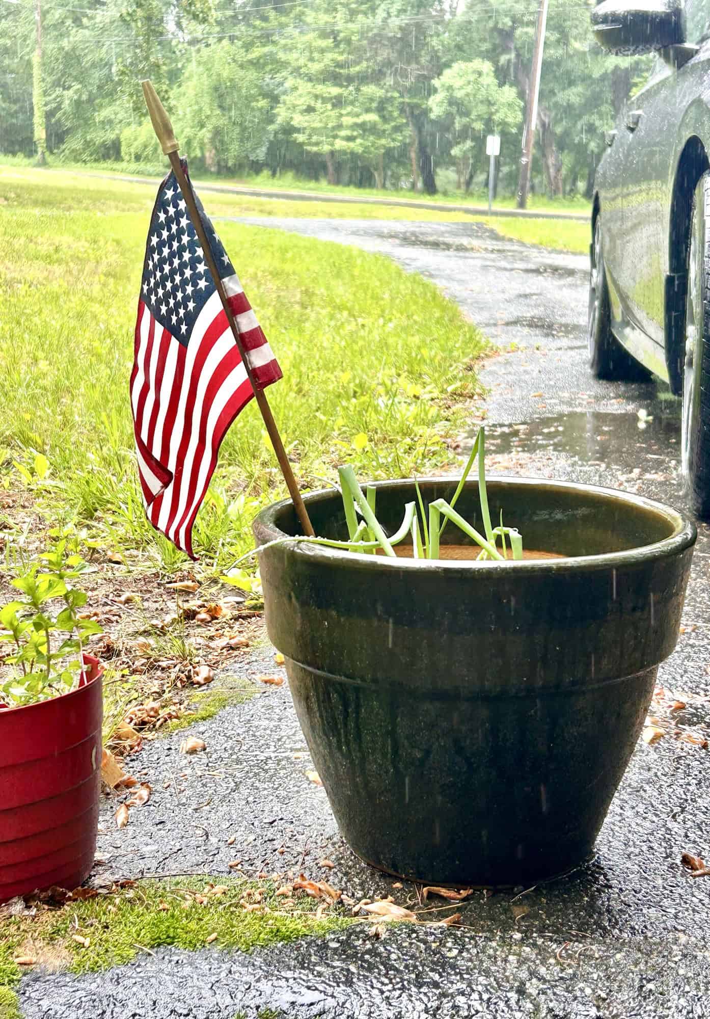 flag in pot on rainy day.