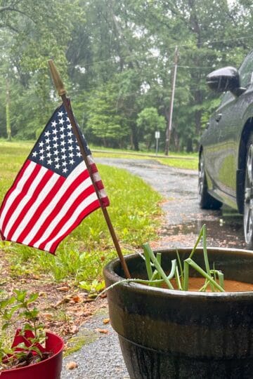 flag in flower pot.