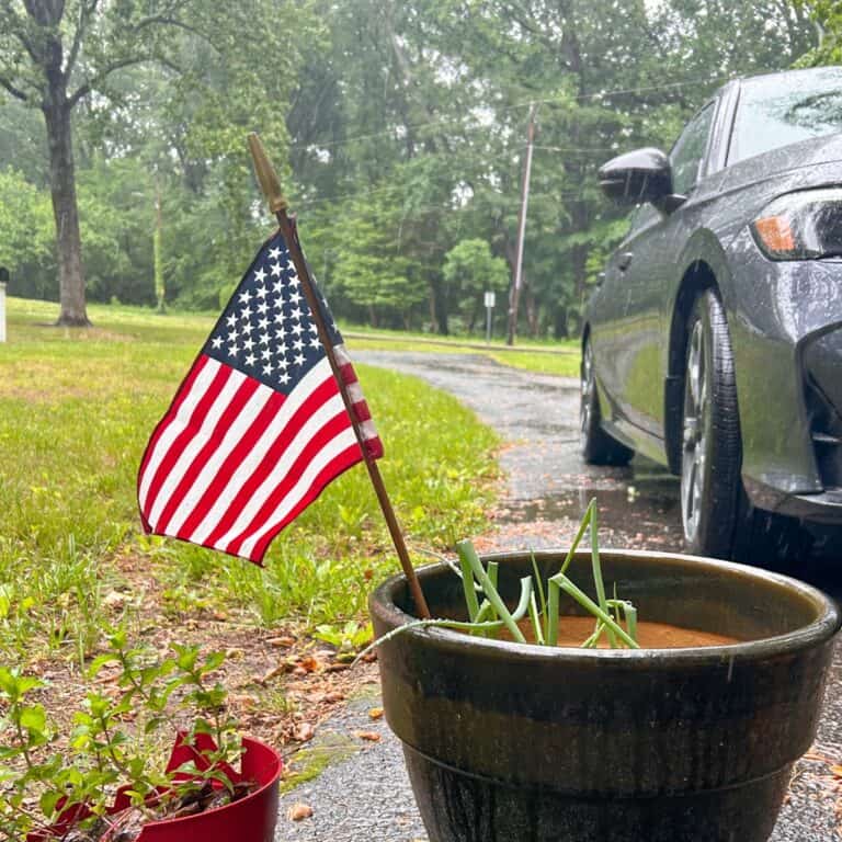 flag in flower pot.