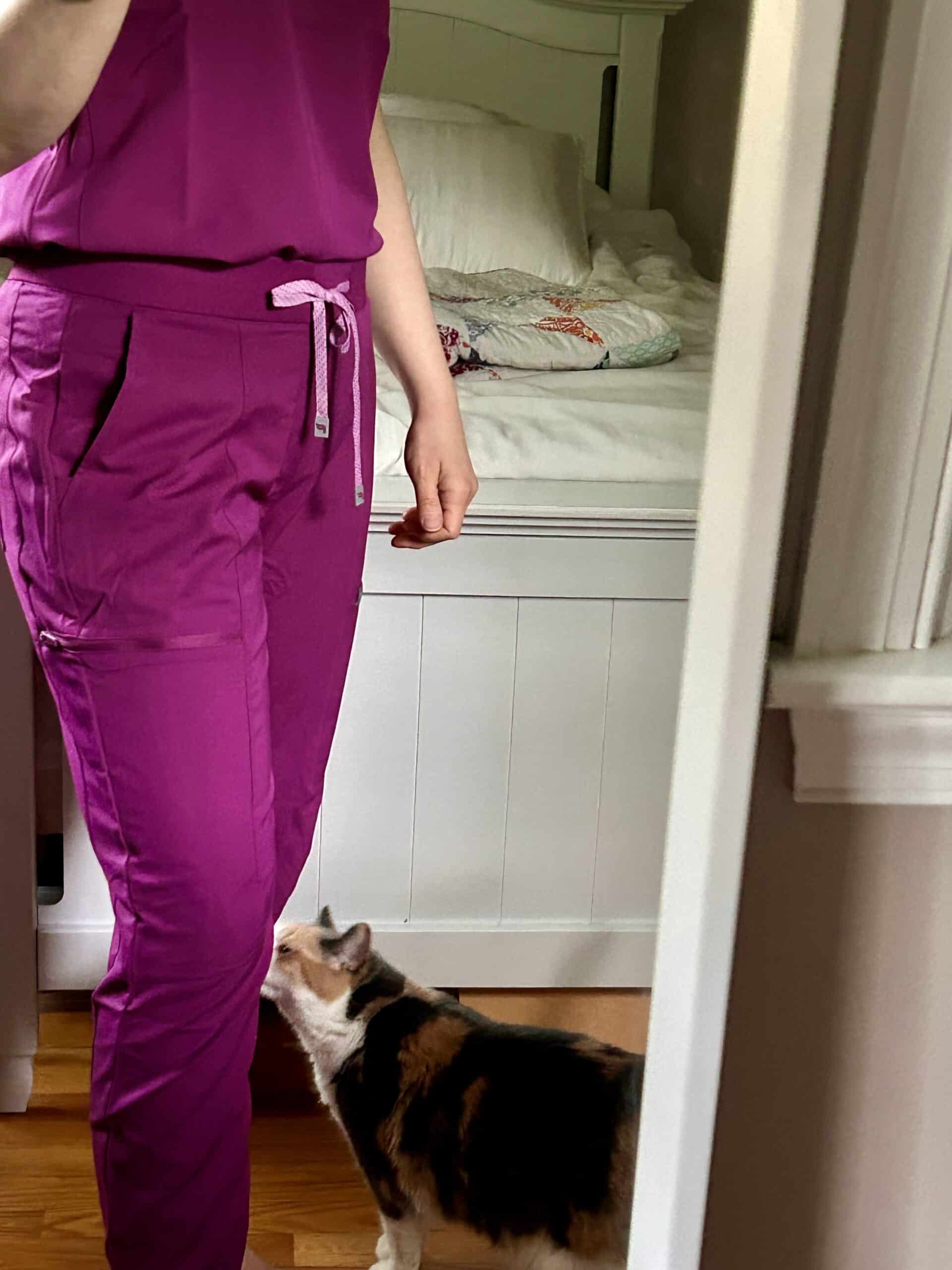 fabletics scrubs.