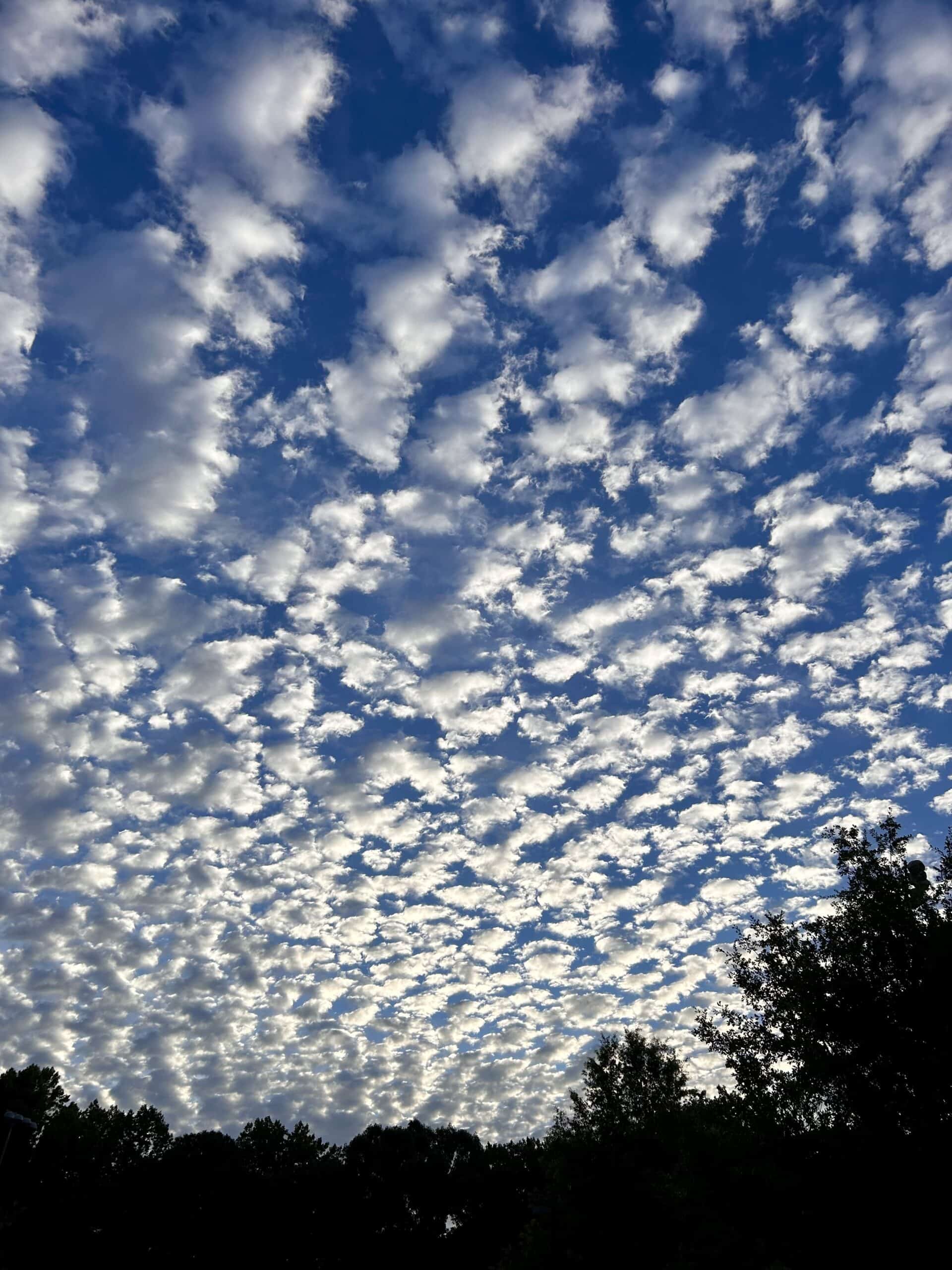 blue sky with clouds.