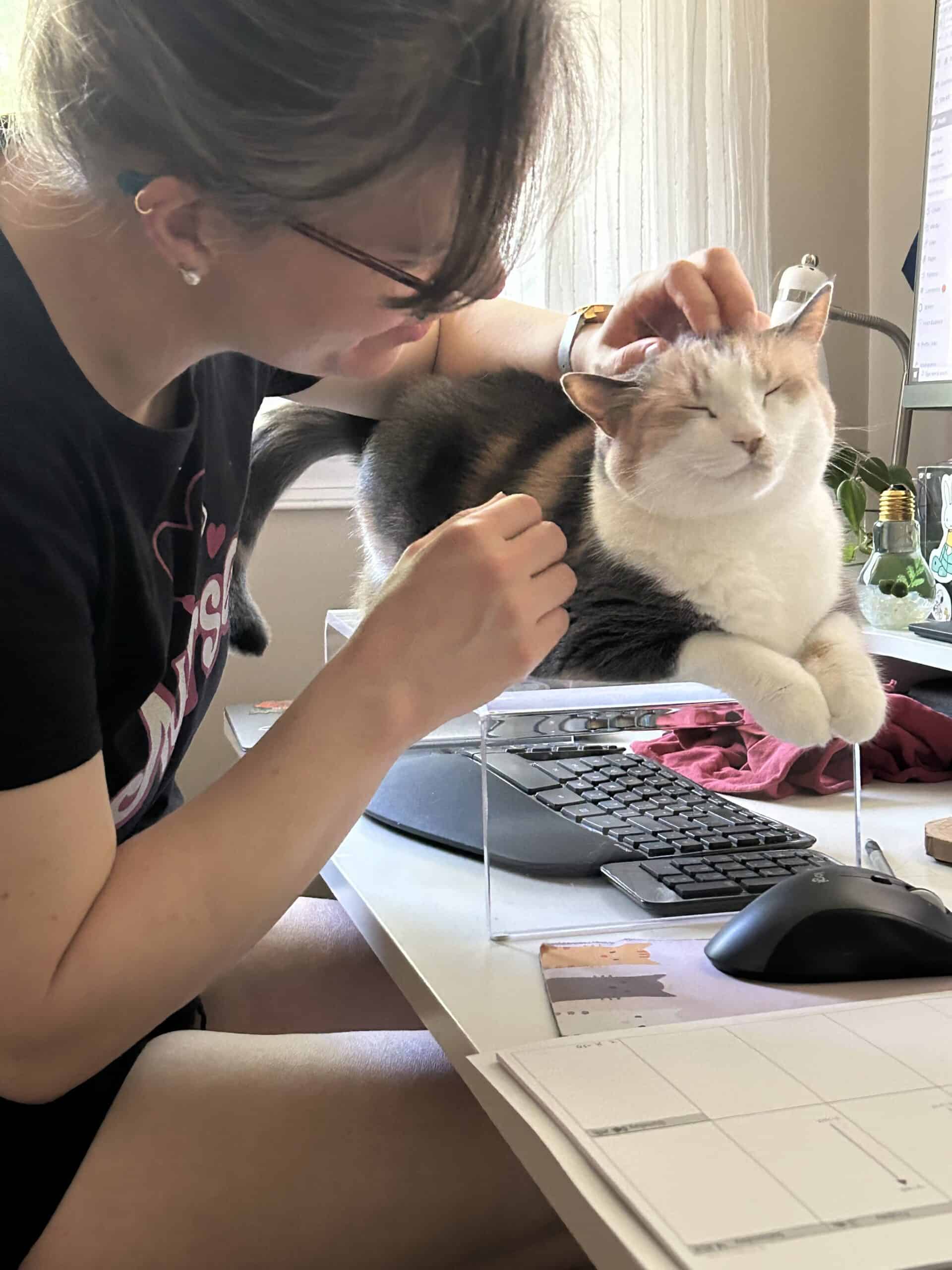 happy cat.