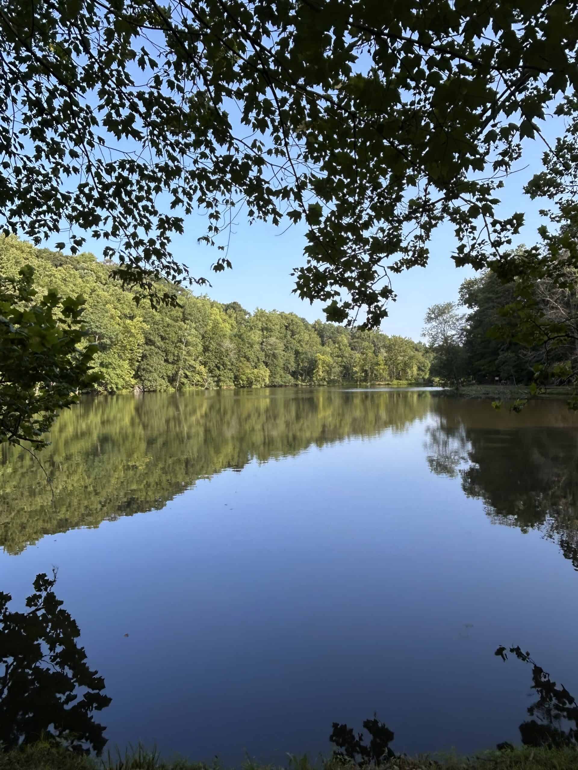 peaceful lake.
