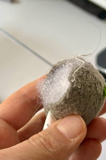 catnip mouse.