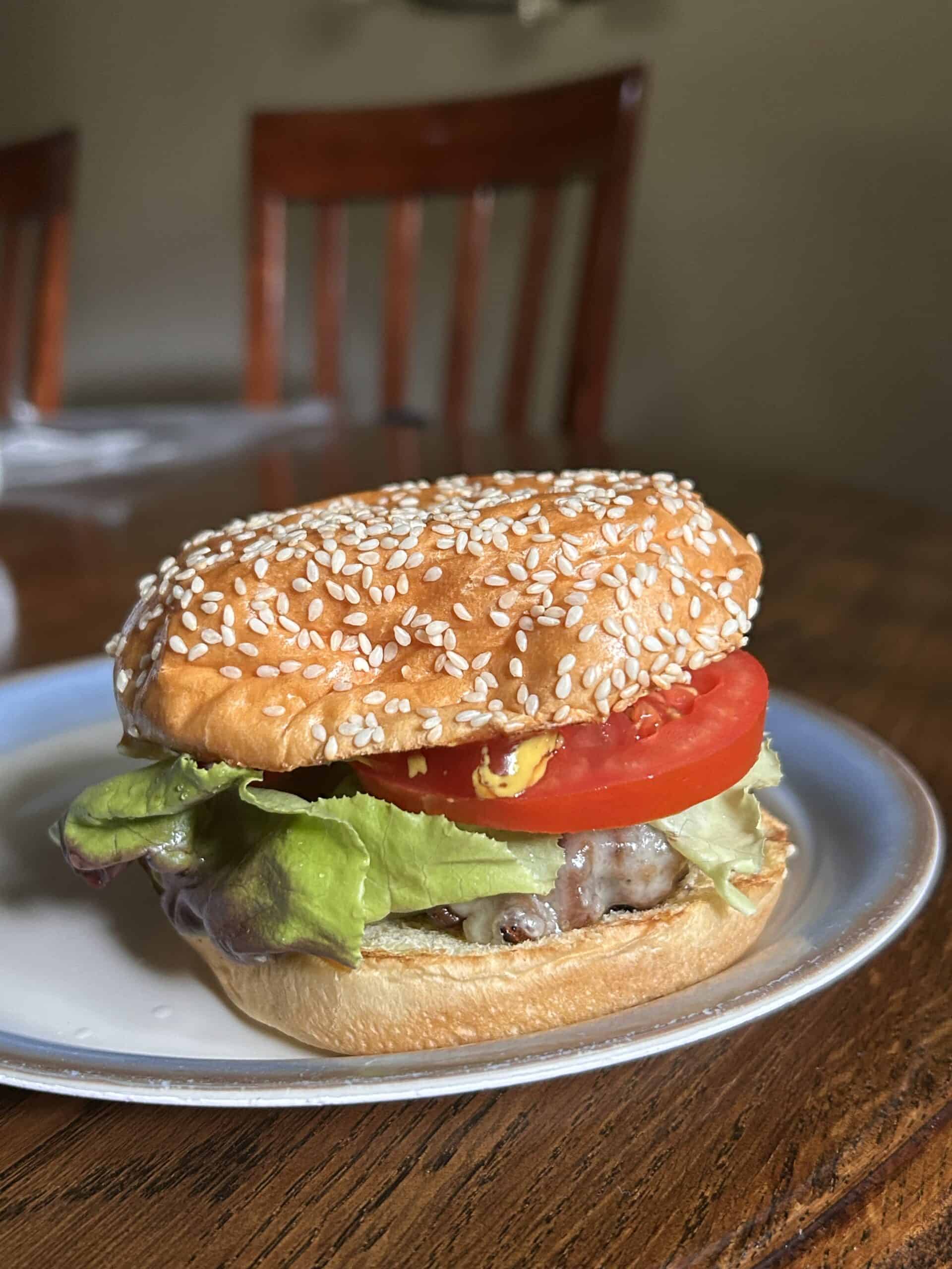burger on a bun.