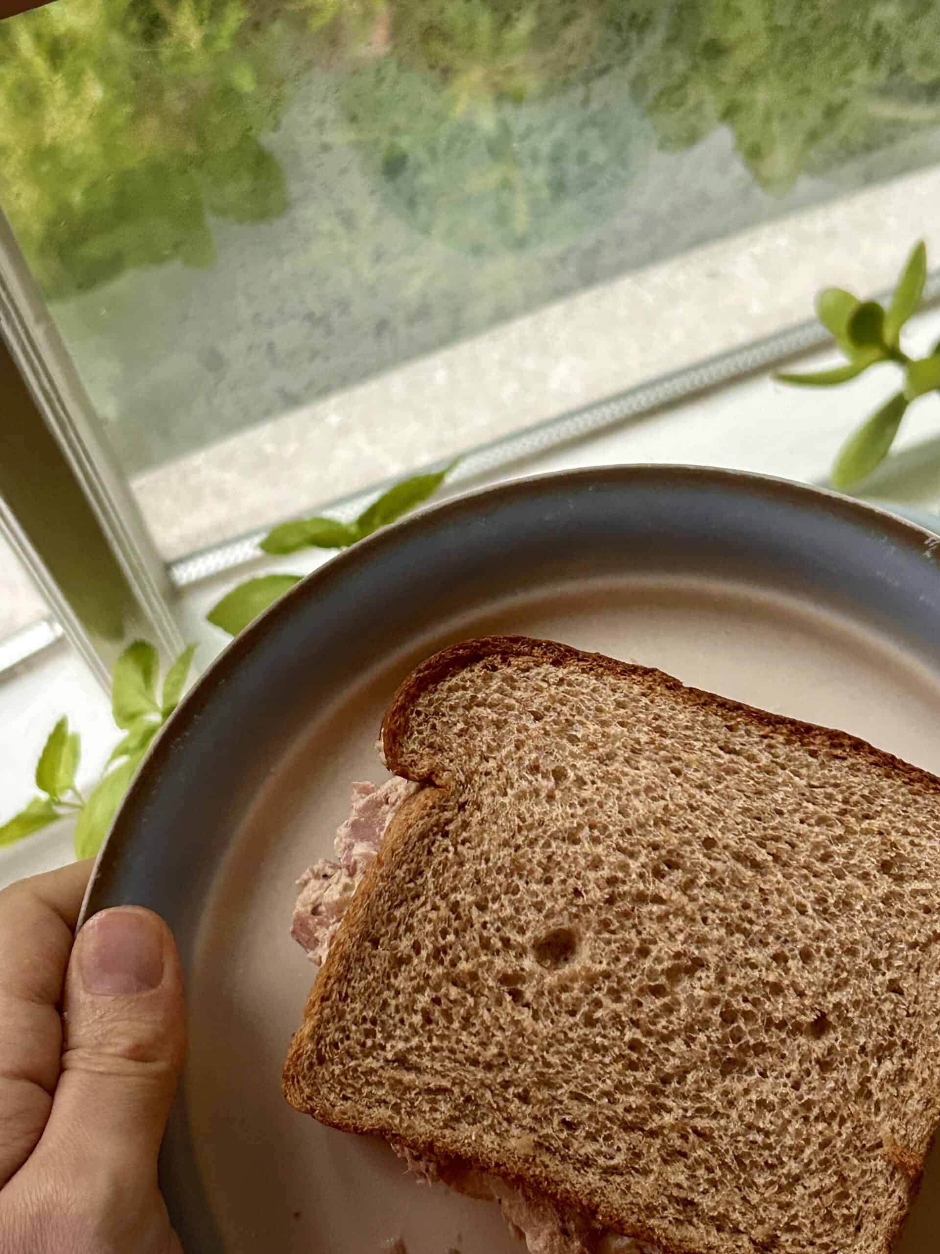 tuna sandwich.