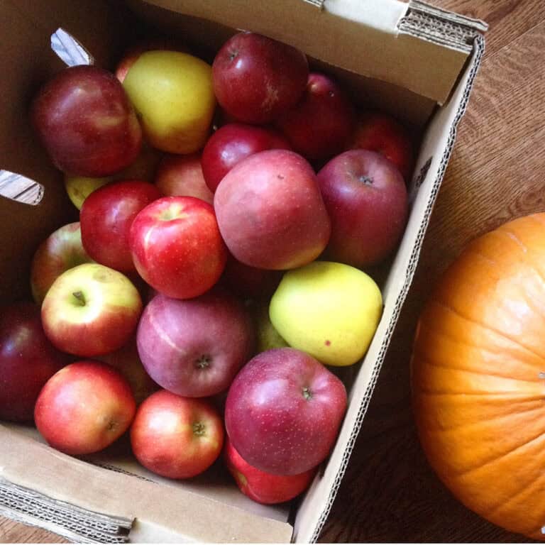 box of apples.
