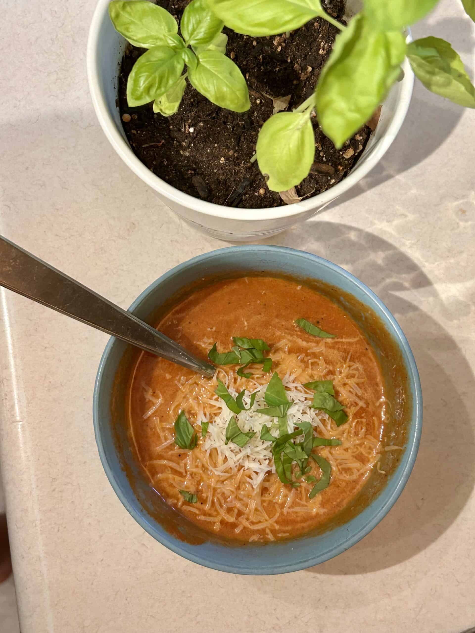 tomato soup.