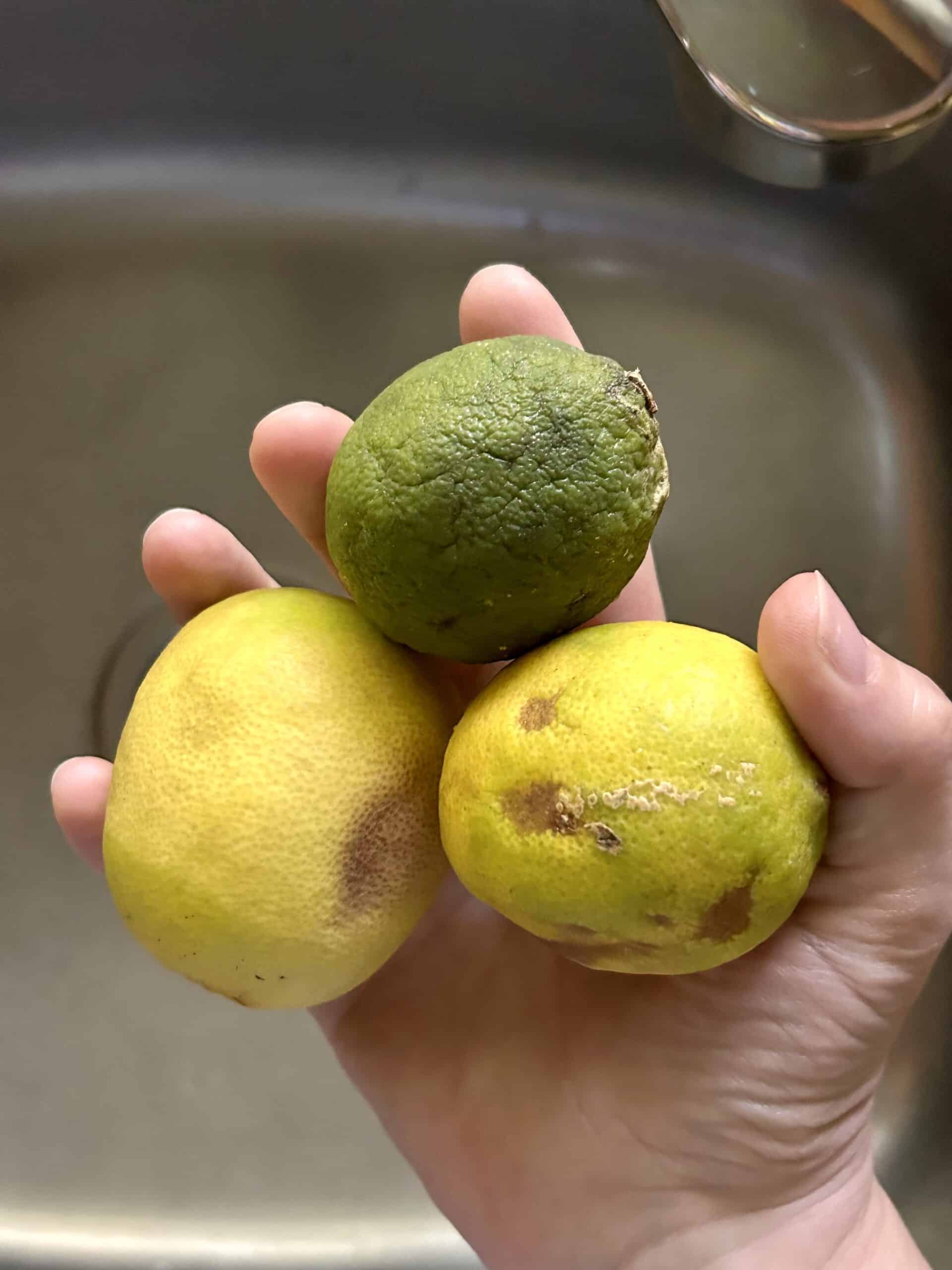 limes.