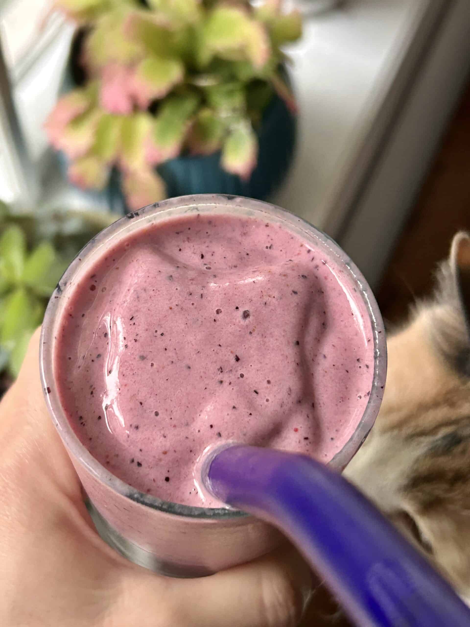 smoothie.