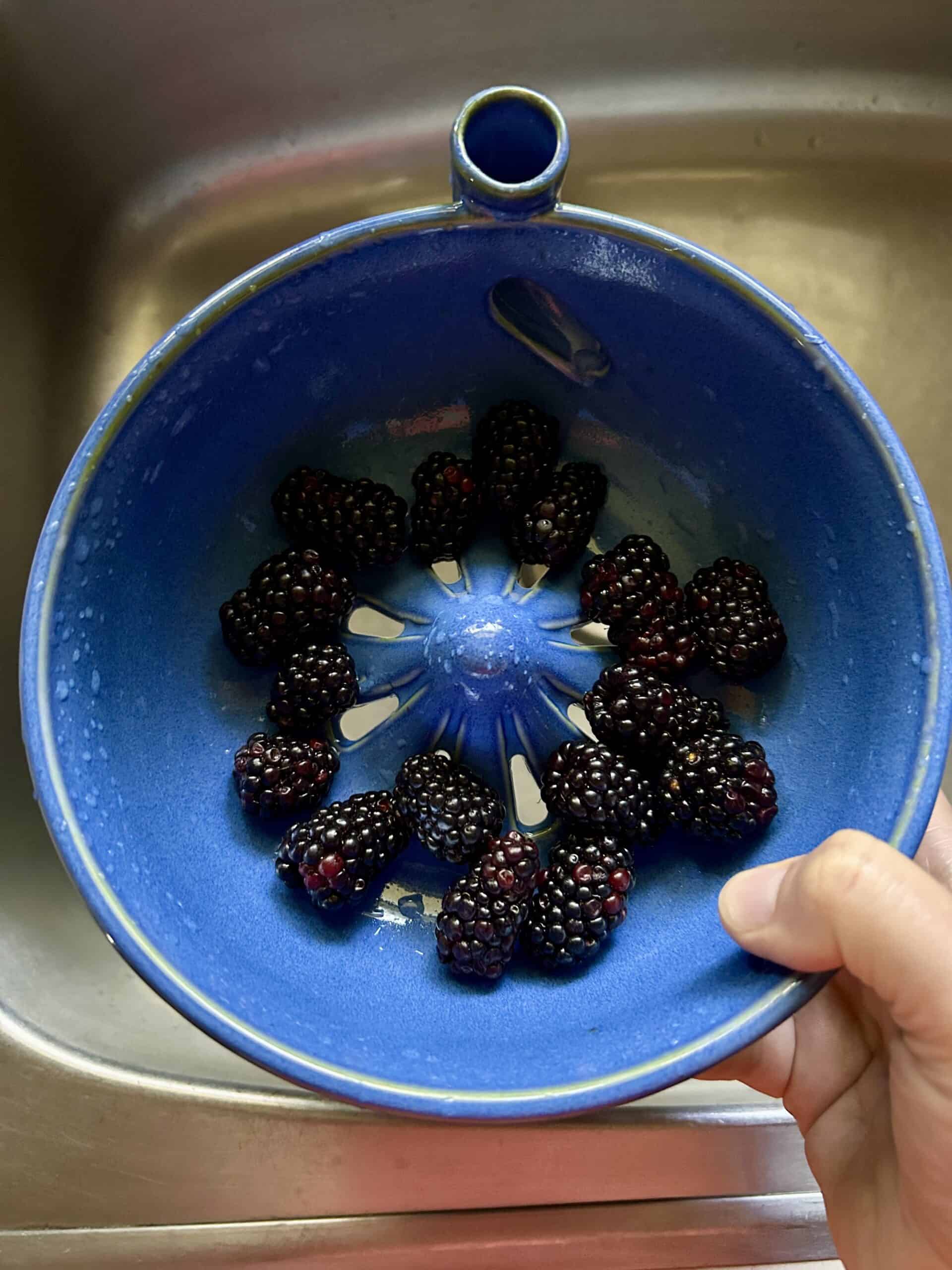 blackberries in a bowl.