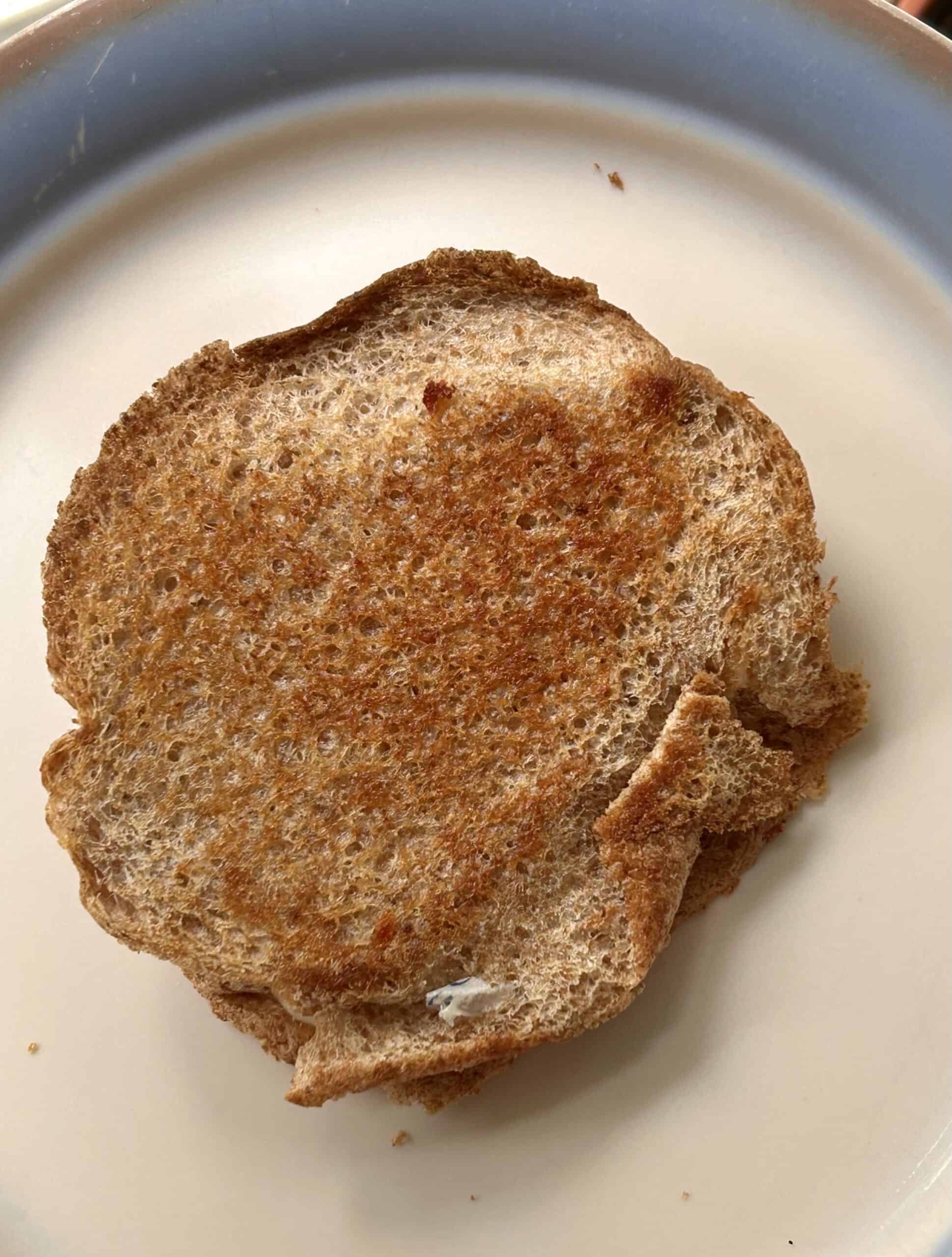 ugly grilled cheese sandwich.