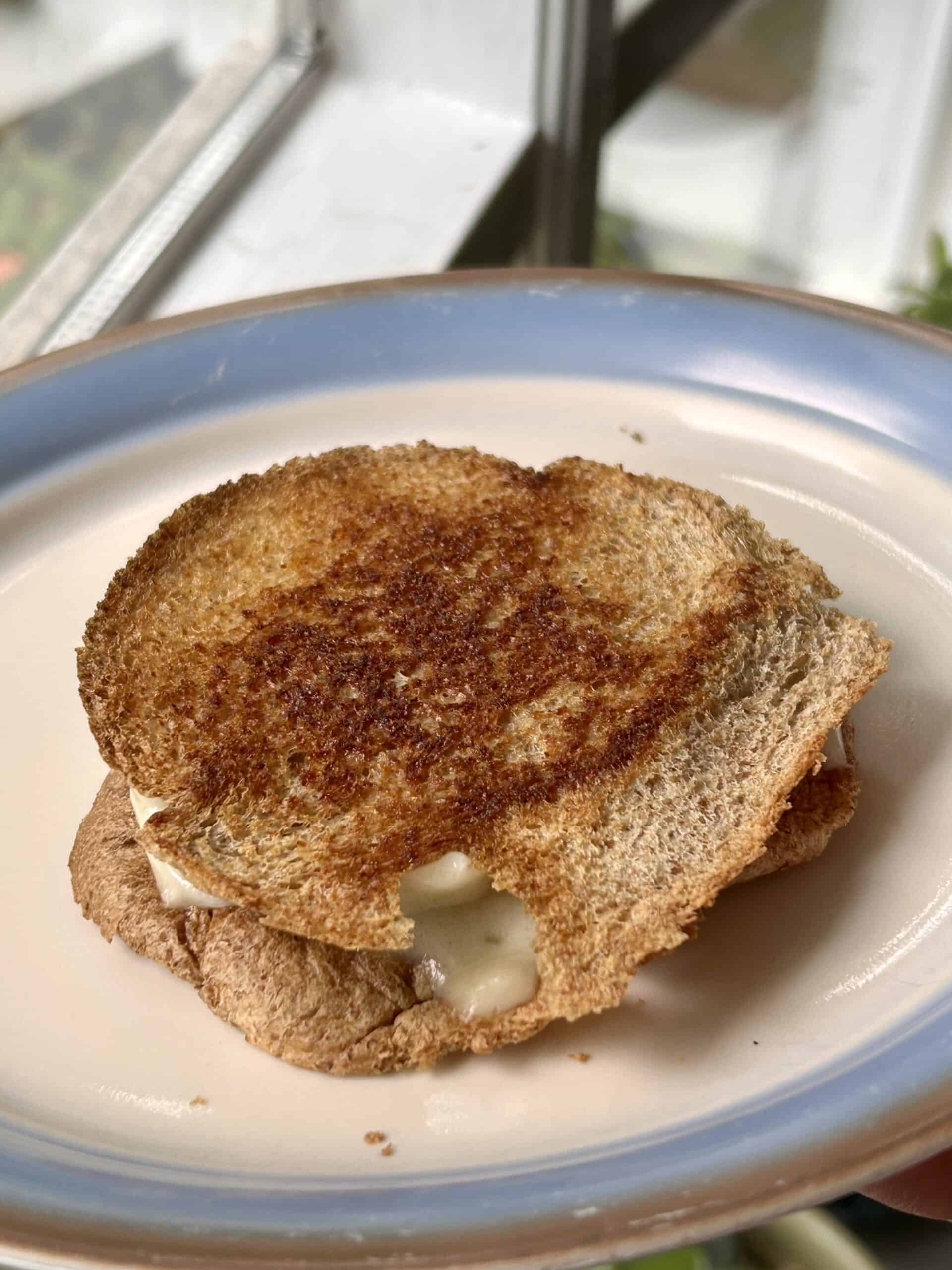 ugly grilled cheese sandwich.