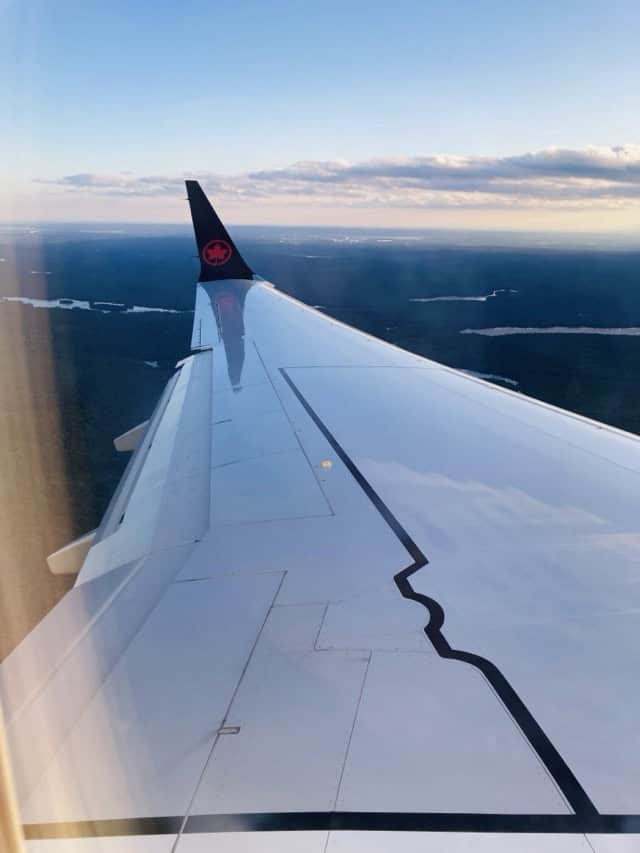 plane wing.