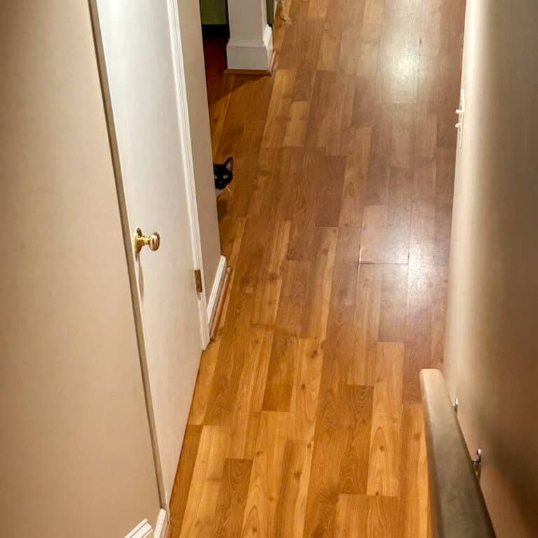 black cat peeking around a corner.