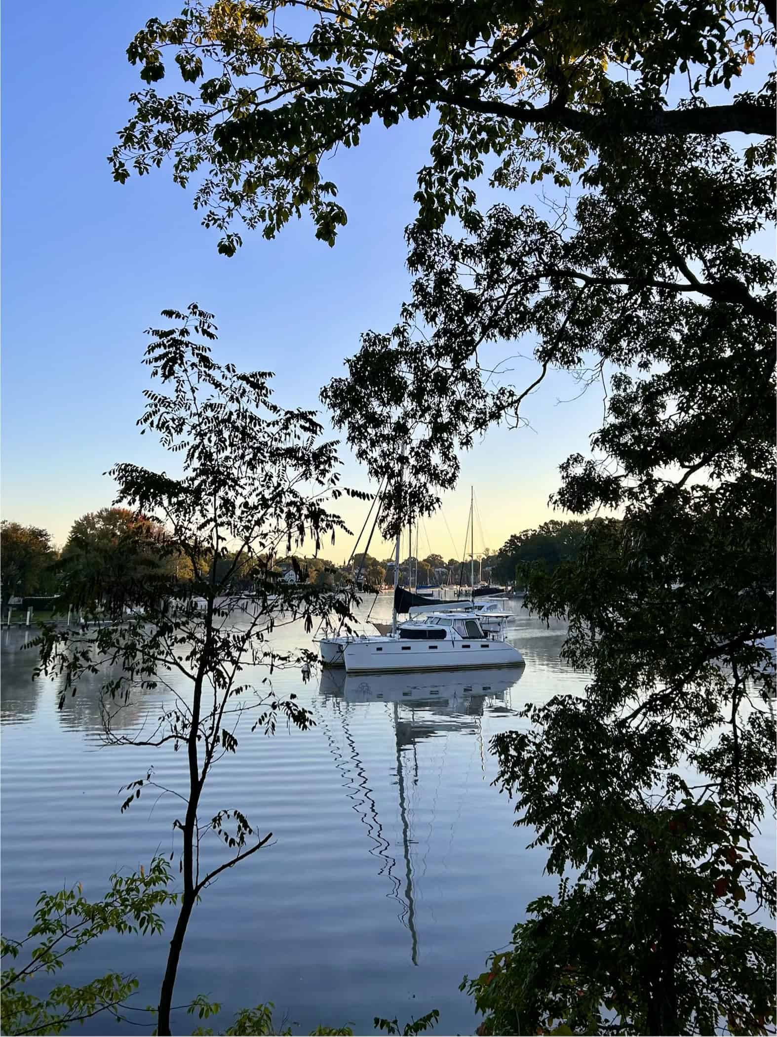 sailboat seen through trees.