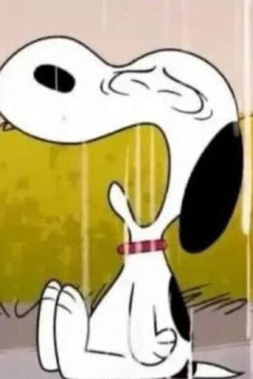Snoopy crying.