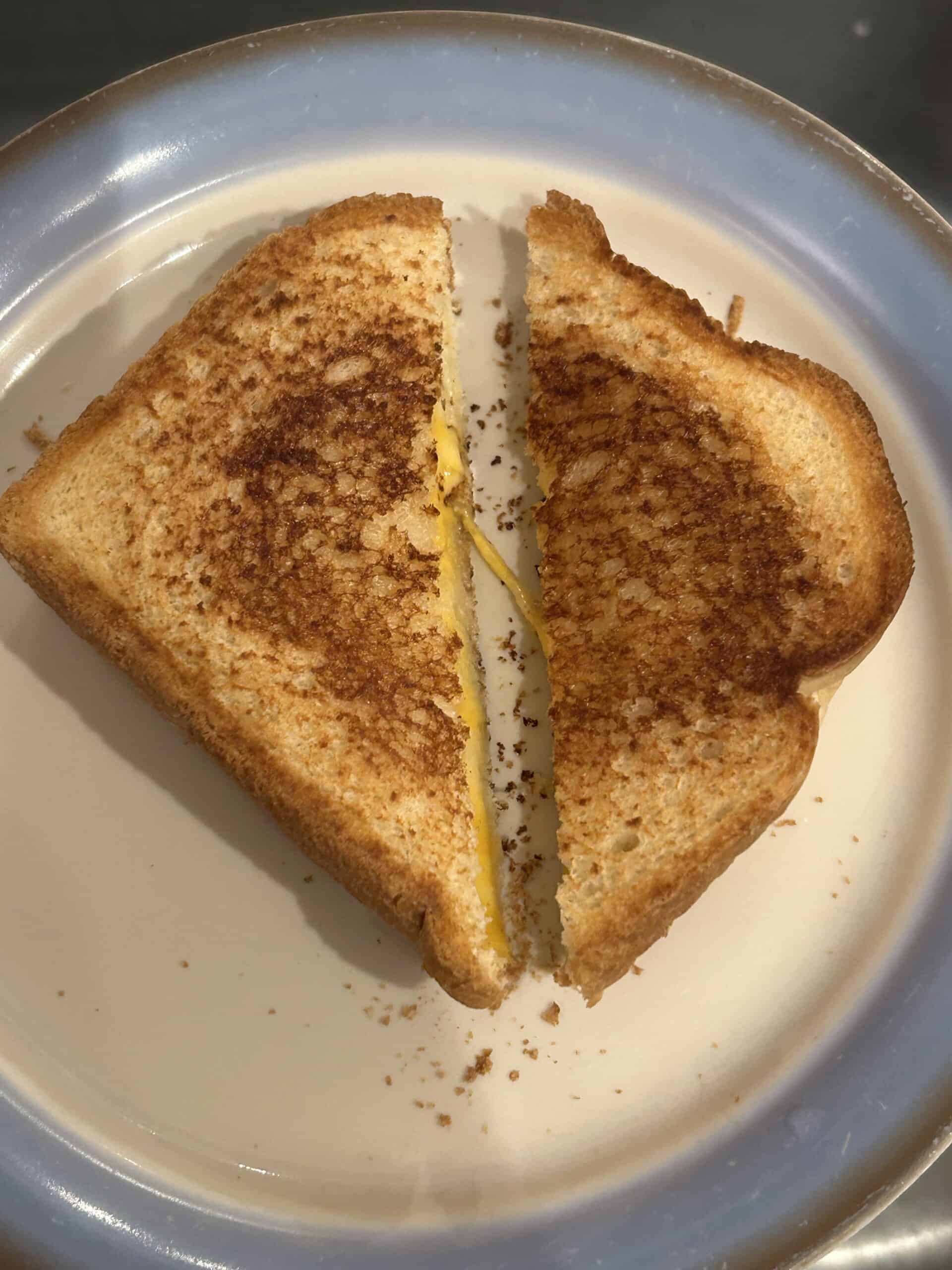 grilled cheese sandwich.